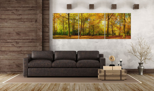 Autumn Forest Framed Canvas Leather Print