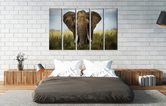 African Elephant Framed Canvas Leather Print