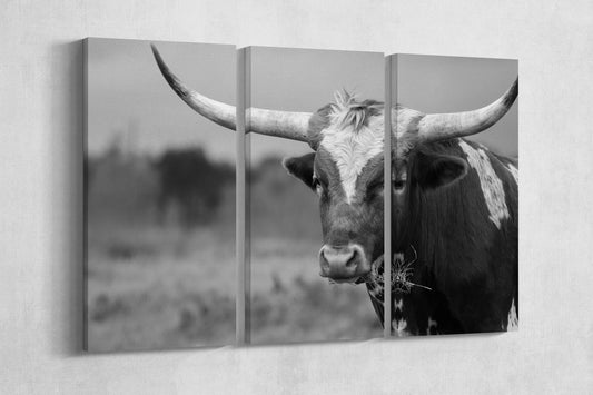 Texas Longhorn Steer Black And White PETA Approved Faux Leather Art