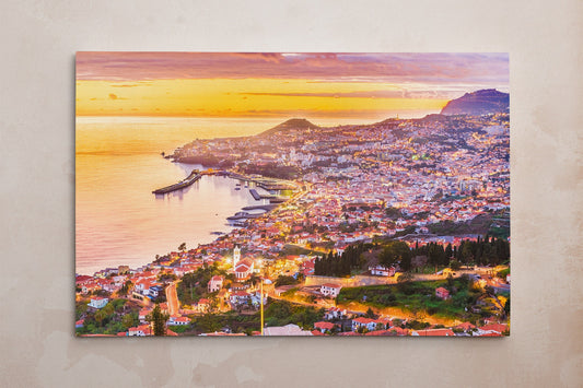 Funchal, Madeira framed canvas leather print