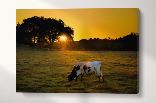 Texas Longhorn Cow wall art home decor canvas