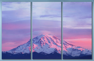 Sunset on Mount Rainier Canvas Leather Print 3 pieces wall decor