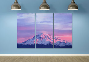 Sunset on Mount Rainier Canvas Leather Print 3 pieces art
