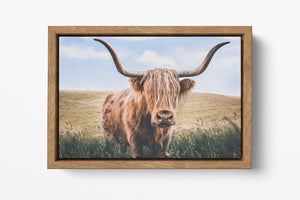 Close Up Brown Highland Cow Wood Framed Canvas