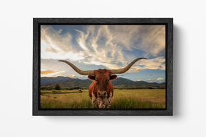 Texas longhorn cow wall art vivid colors print
