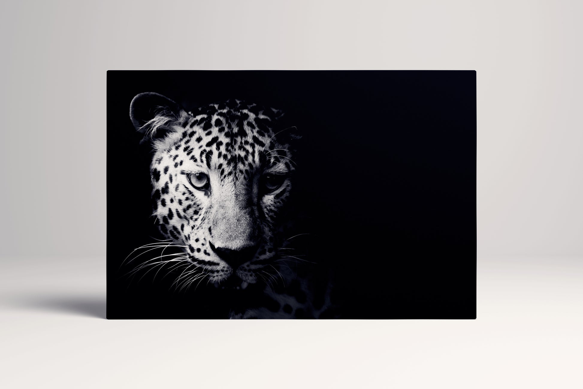 [canvas] - Lwhomedecor Leopard
