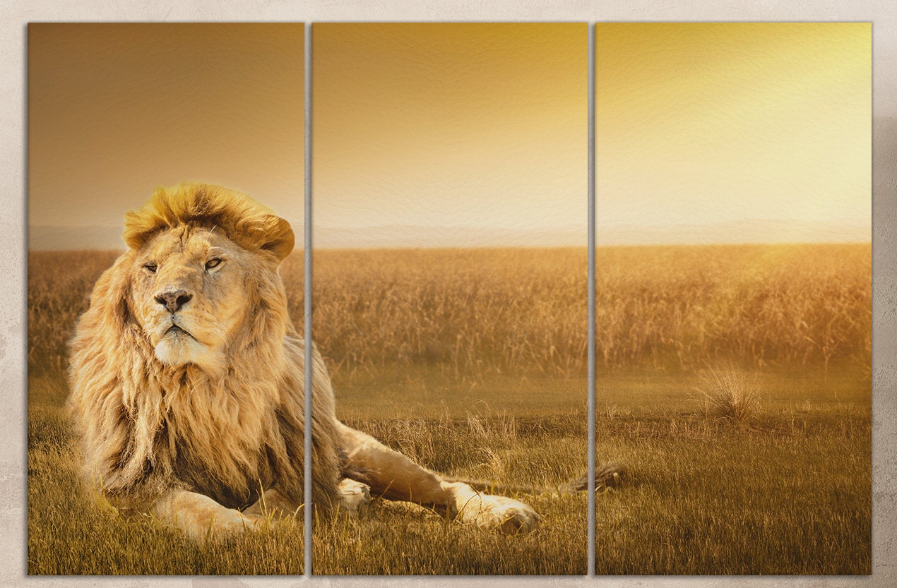 Lion wall art wall decor wall hanging home art canvas print 3 panels