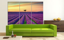 Charger l&#39;image dans la galerie, 3 Panel Lavender in Provence, France Framed Canvas Leather Print