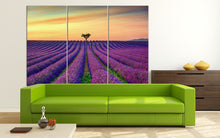 Load image into Gallery viewer, 3 Panel Lavender in Provence, France Framed Canvas Leather Print