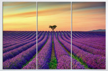 Charger l&#39;image dans la galerie, 3 Panel Lavender in Provence, France Framed Canvas Leather Print
