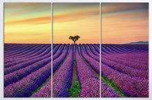 Load image into Gallery viewer, 3 Panel Lavender in Provence, France Framed Canvas Leather Print