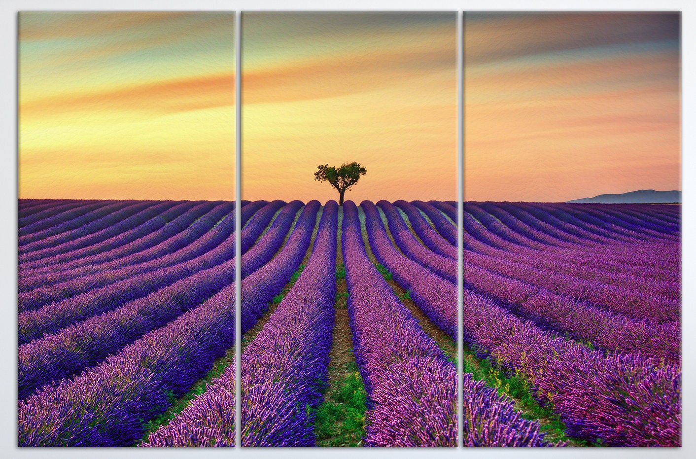 Lavender in Provence, France Framed Canvas Leather Print