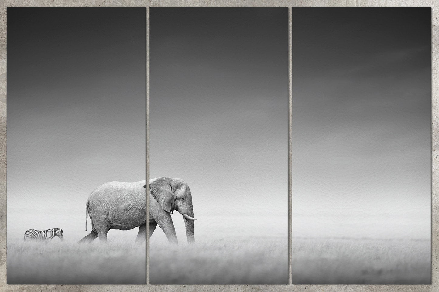 Elephant with zebra in Etosha Africa canvas home art 3 panels