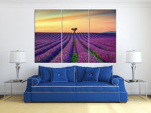 Load image into Gallery viewer, 3 Panel Lavender in Provence, France Framed Canvas Leather Print