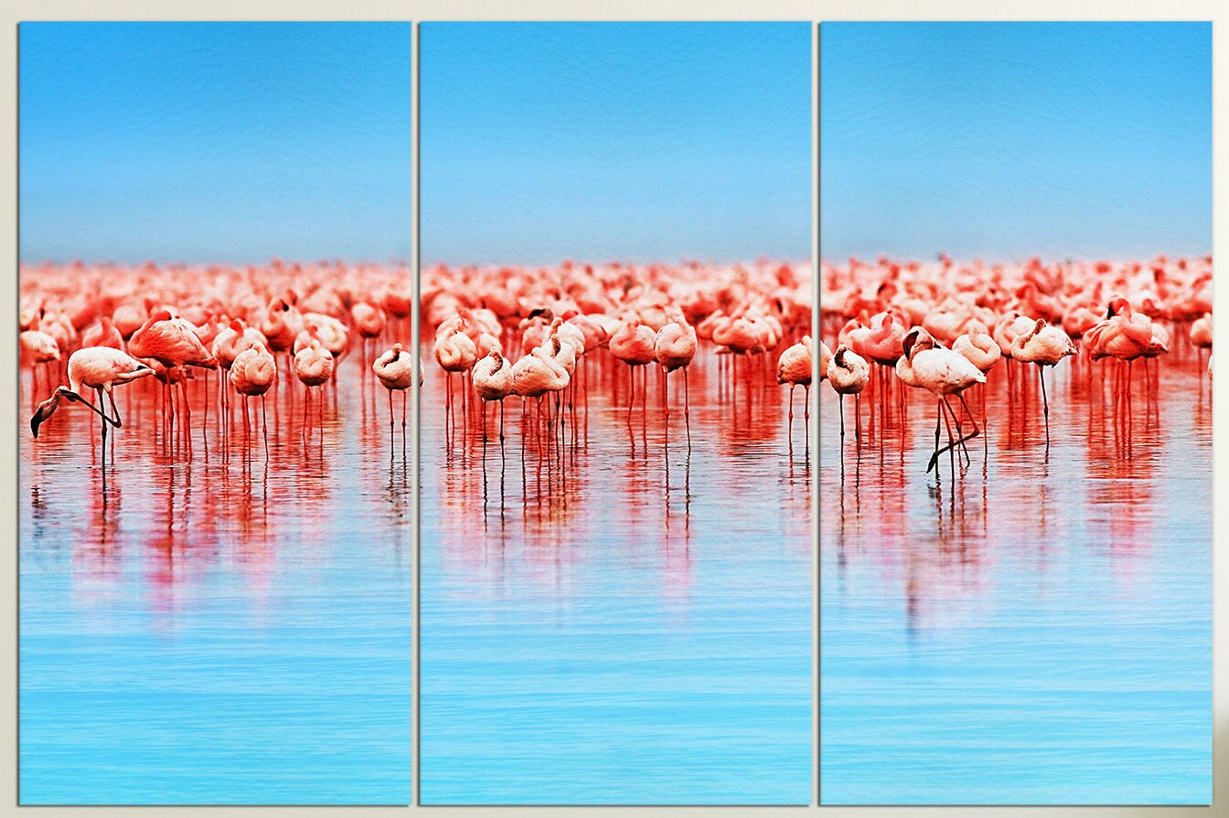 Flamingo in Lake Nakuru Framed Canvas Leather Print