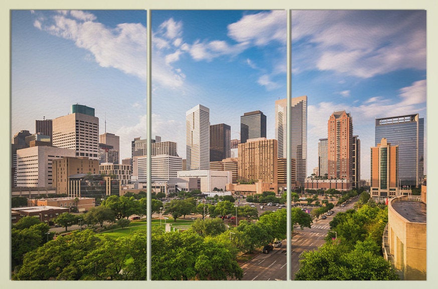 Houston, Texas Framed Canvas Leather Print