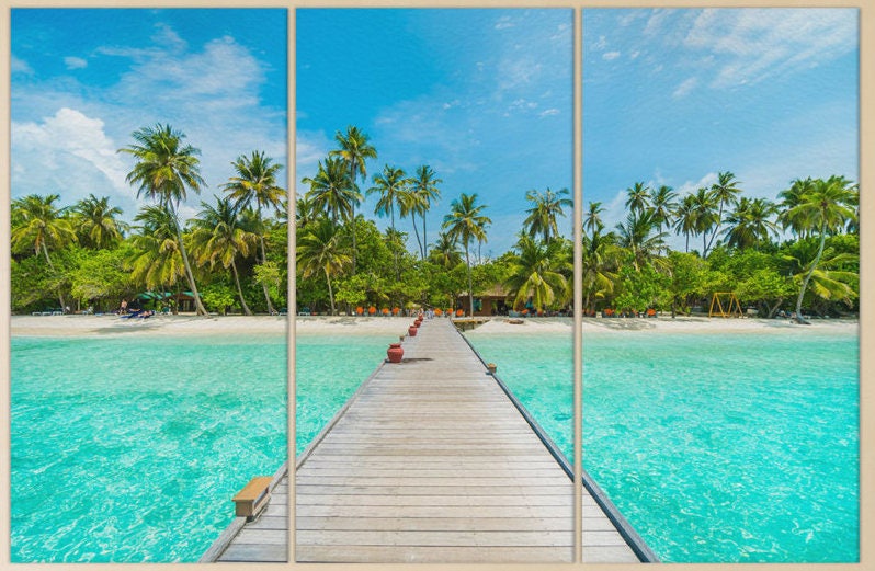 Maldives Island Framed Canvas Leather Print