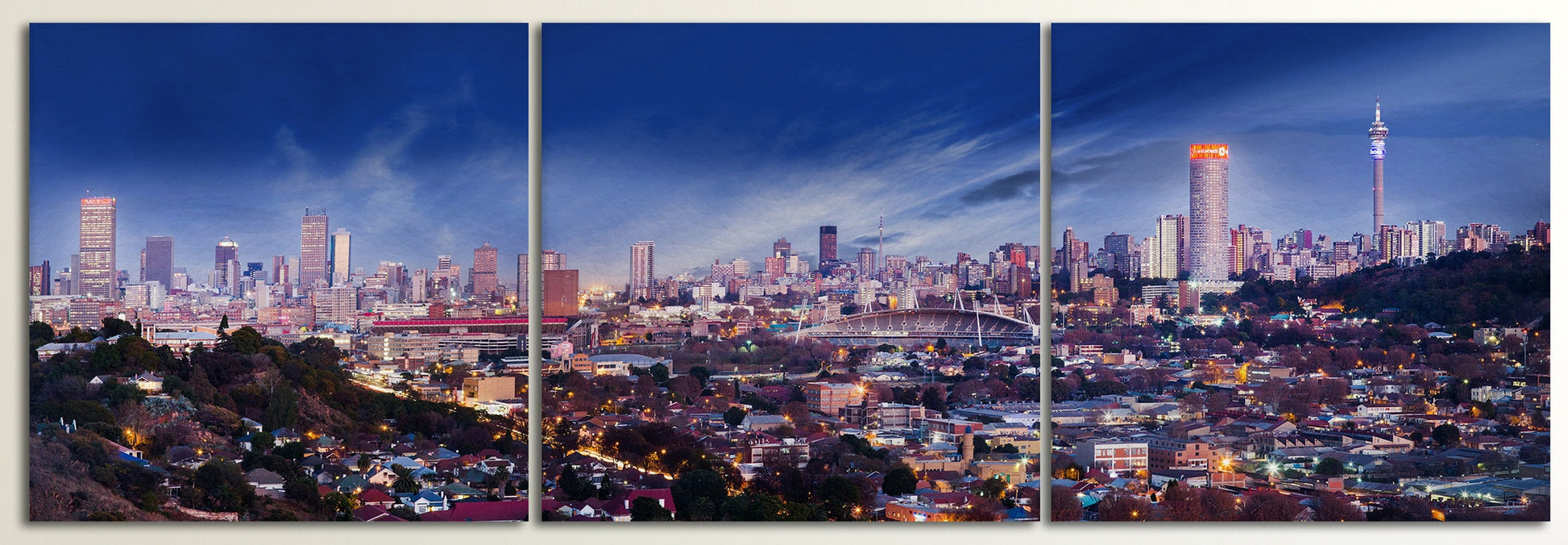 Johannesburg Skyline Framed Canvas Leather Print