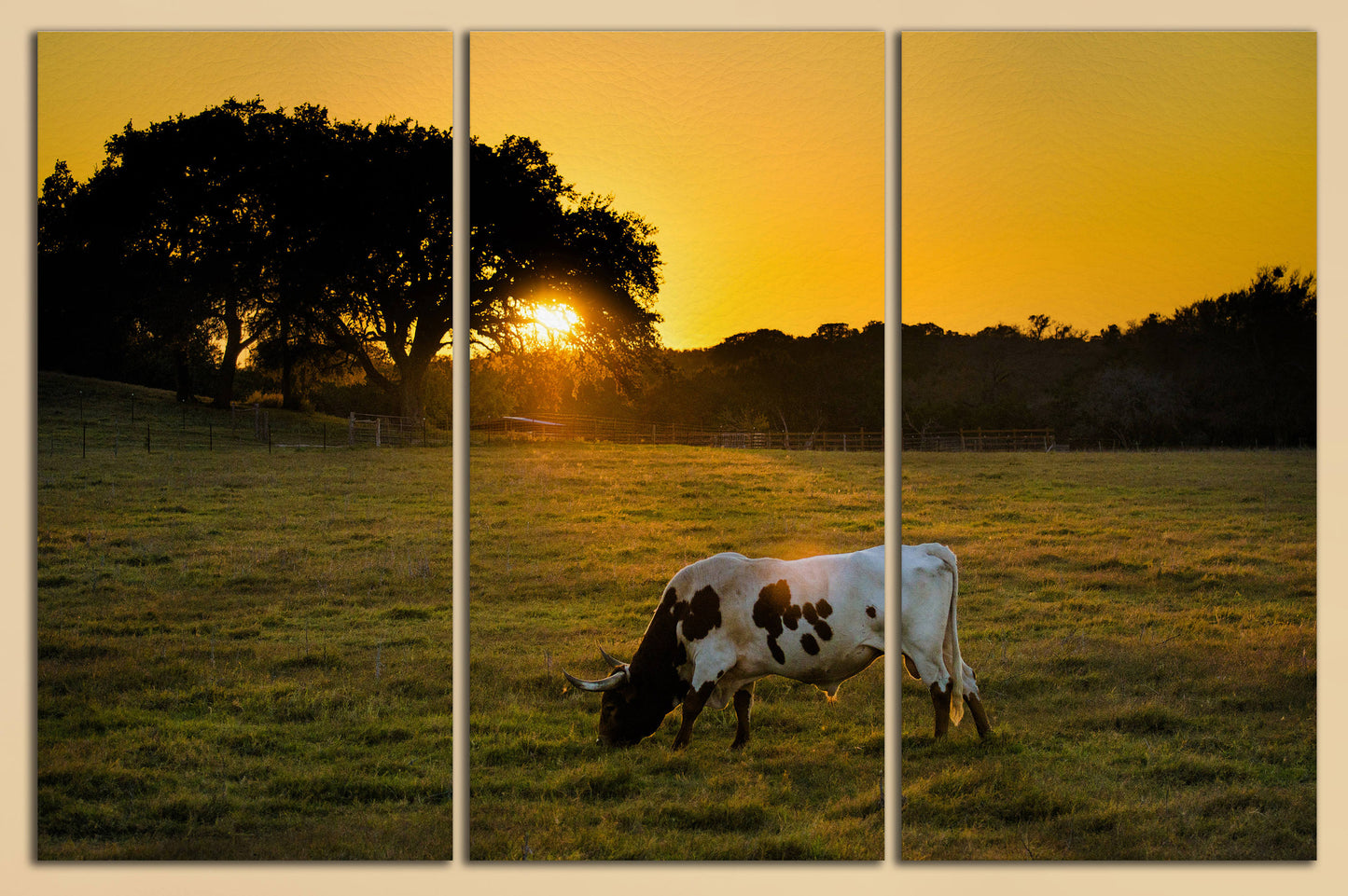 Texas Longhorn Cow wall art 3 pieces canvas print