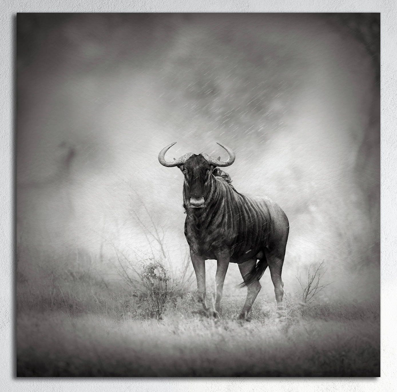 Blue Wildebeest canvas