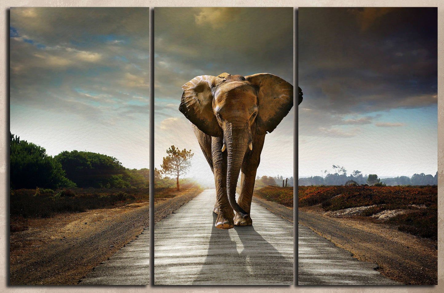 Wild Elephant Walking Home Art Canvas Eco Leather Print 3 panels