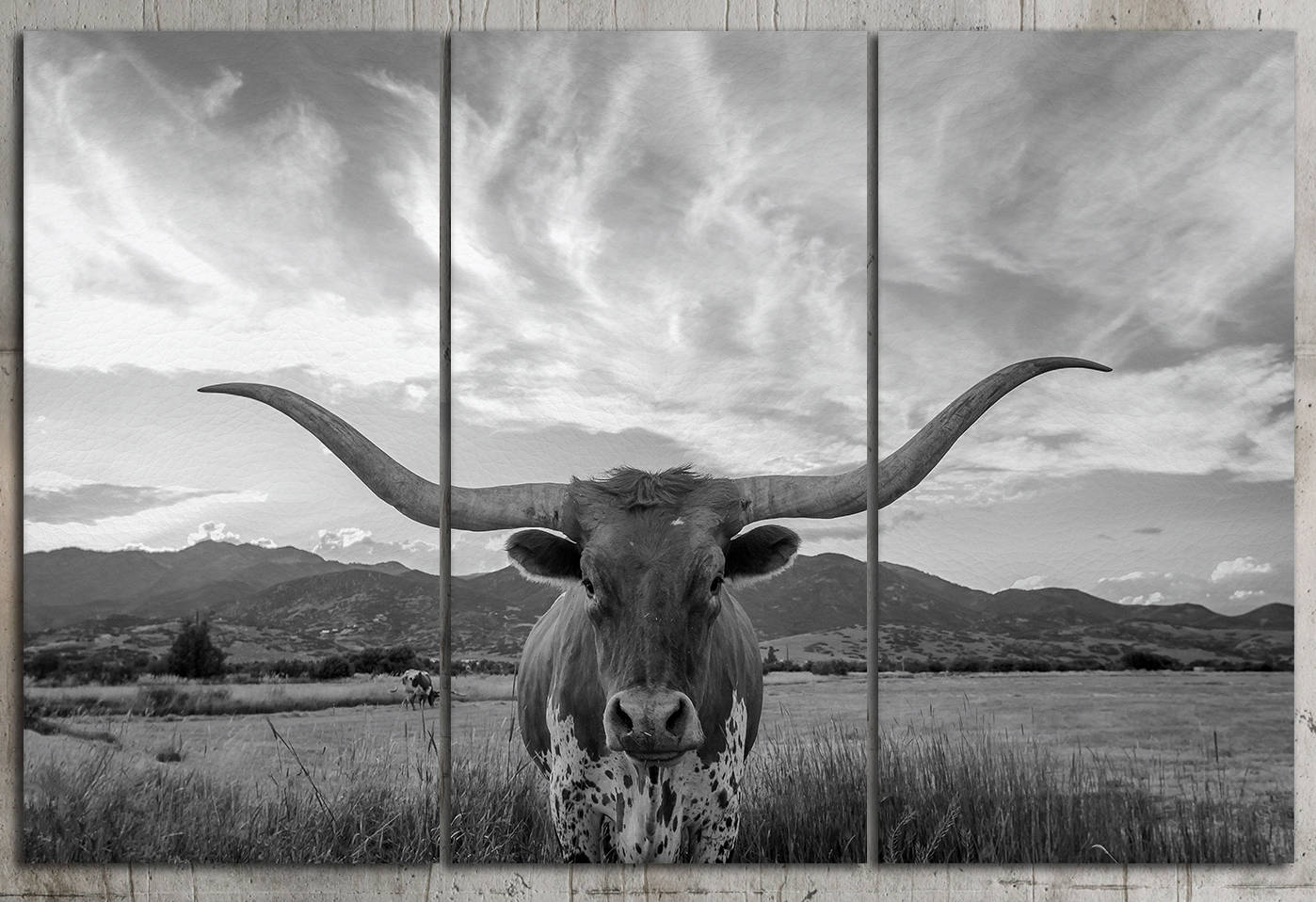 3 Panel Texas Longhorn Steer Black and White Framed Canvas Leather Print
