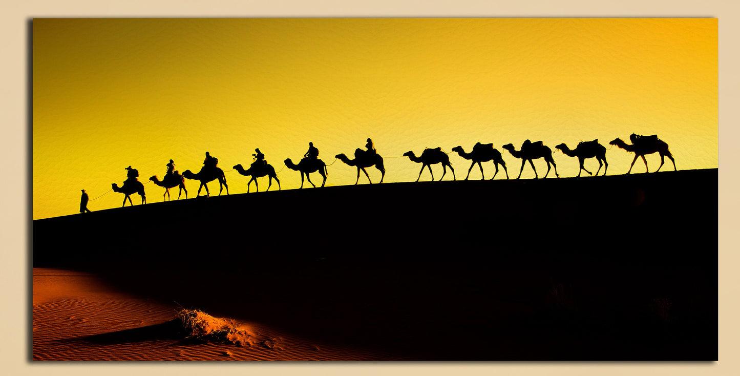 Sahara Desert, Camel Caravan Framed Canvas Leather Print