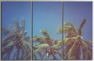 Leaves of Coconut Vintage Filter Tropical Wall Art Canvas 3 Panels