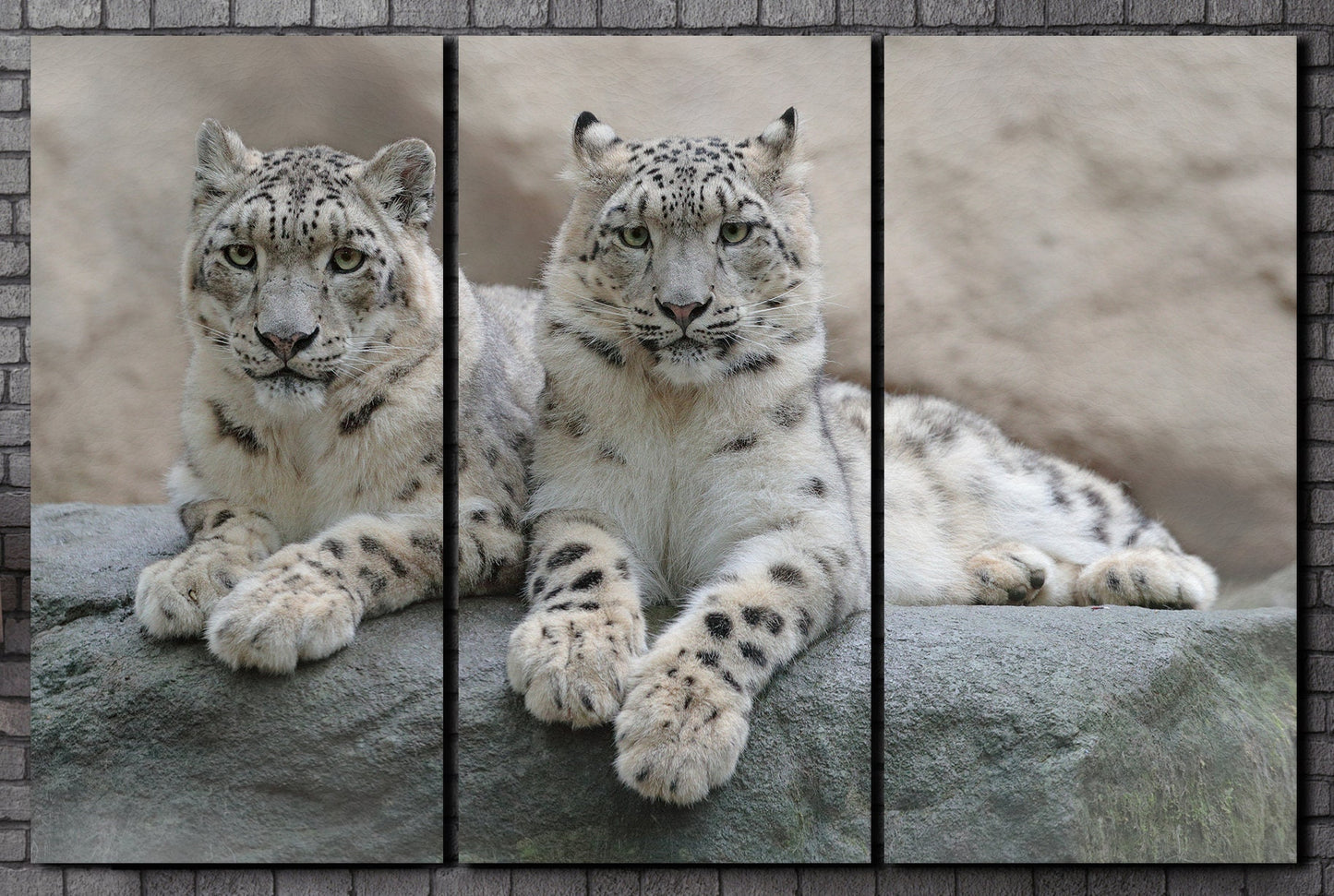 Snow Leopards Canvas Eco Vegan Leather Print, Made in Italy!