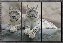 Charger l&#39;image dans la galerie, Snow Leopards Canvas Eco Vegan Leather Print, Made in Italy!