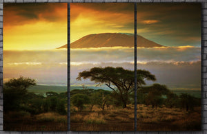 Mount Kilimanjaro Canvas Eco Leather Print, Made in Italy!