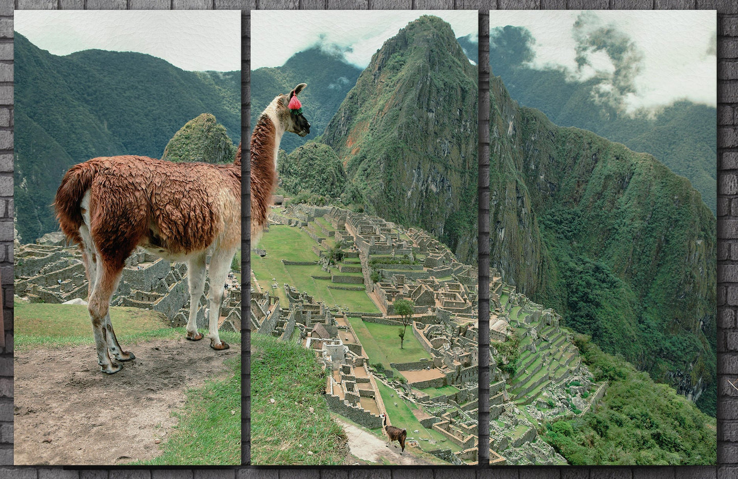 Machu Picchu Alpaca 3 Panel Framed Canvas Leather Print