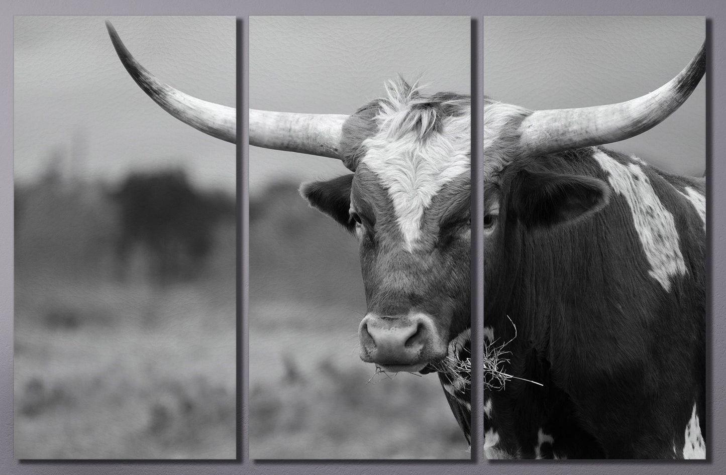 Texas Longhorn Steer Black And White PETA Approved Faux Leather Art