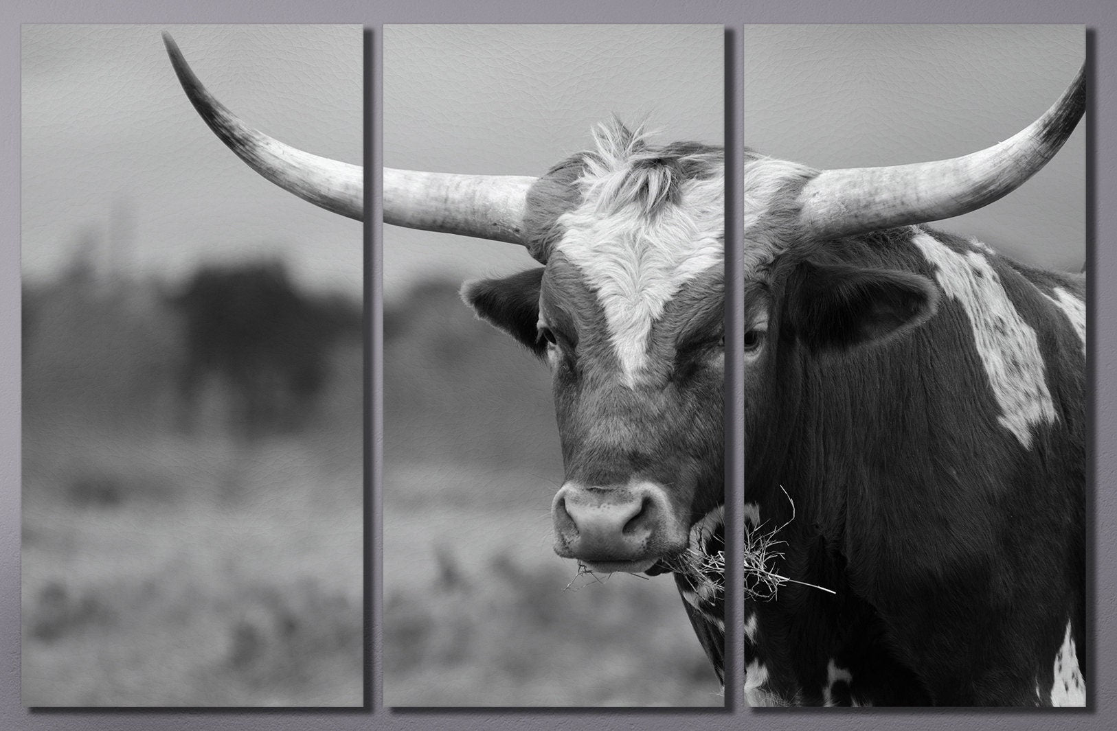 Texas Longhorn Steer Black And White PETA Approved Faux Leather Art