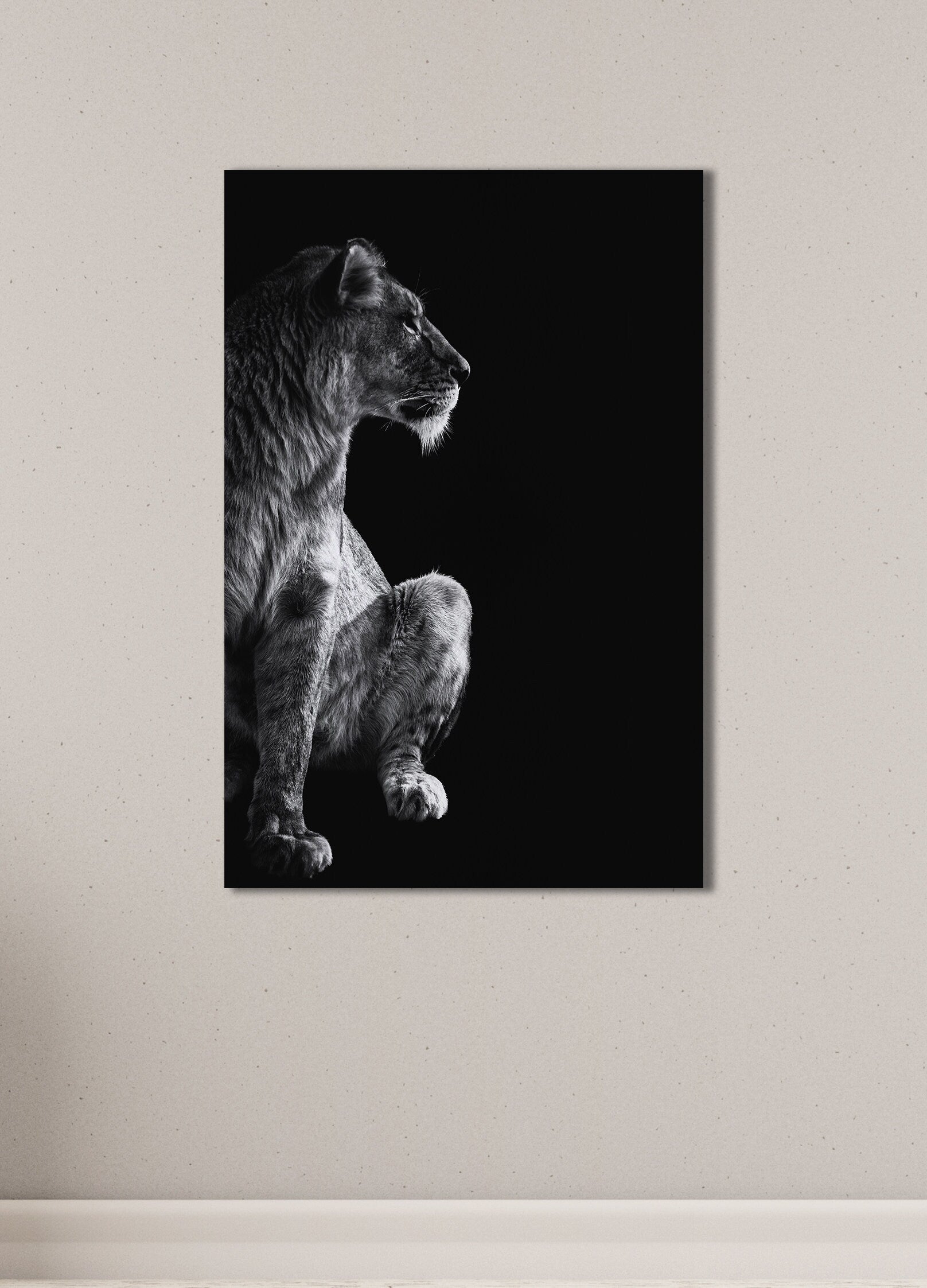 Lioness Portrait Framed Canvas Print