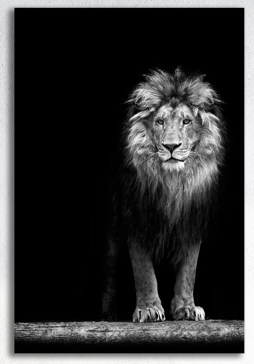 Portrait of a Lion Canvas Eco Leather Print Made in Italy