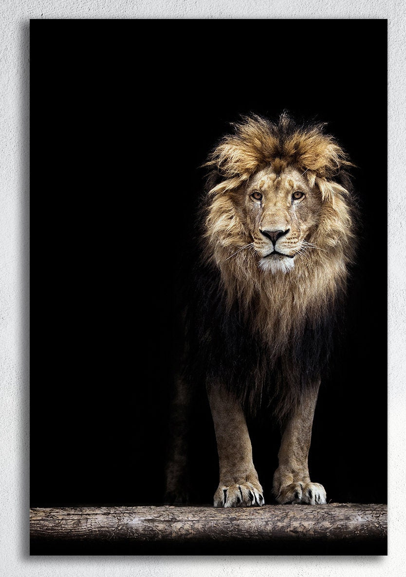 Portrait of a Lion Canvas Eco Leather Print Made in Italy