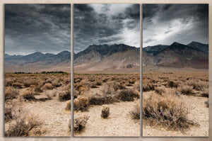 3 Panel Dark Clouds Death Valley 3 Panel Framed Canvas Leather Print