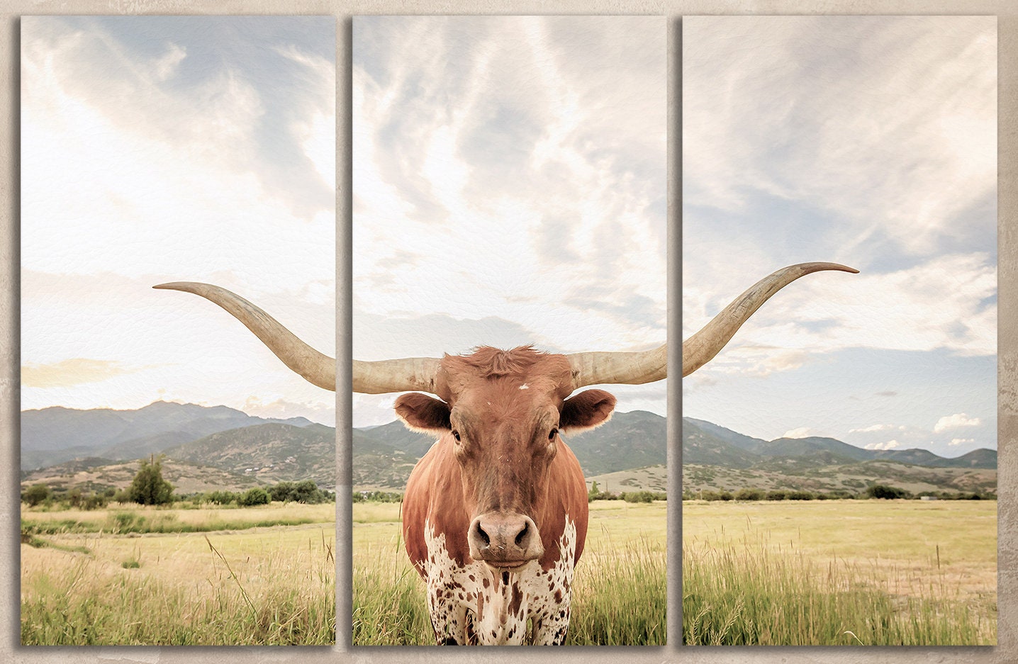 Texas Longhorn Steer Soft Tones Triptych Canvas Eco Leather Print Closeup