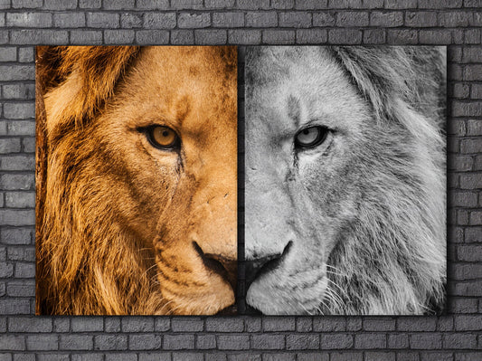 Lion face wall art canvas print