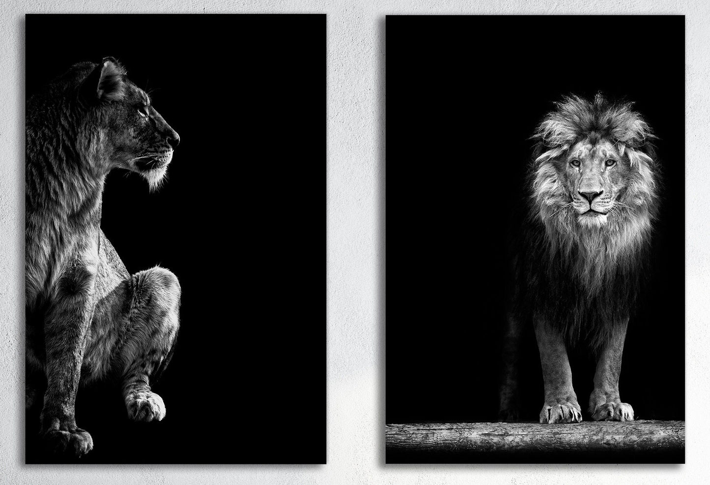 Lion and Lioness Portrait Wall Decor