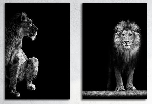 Lion and Lioness Portrait Wall Decor