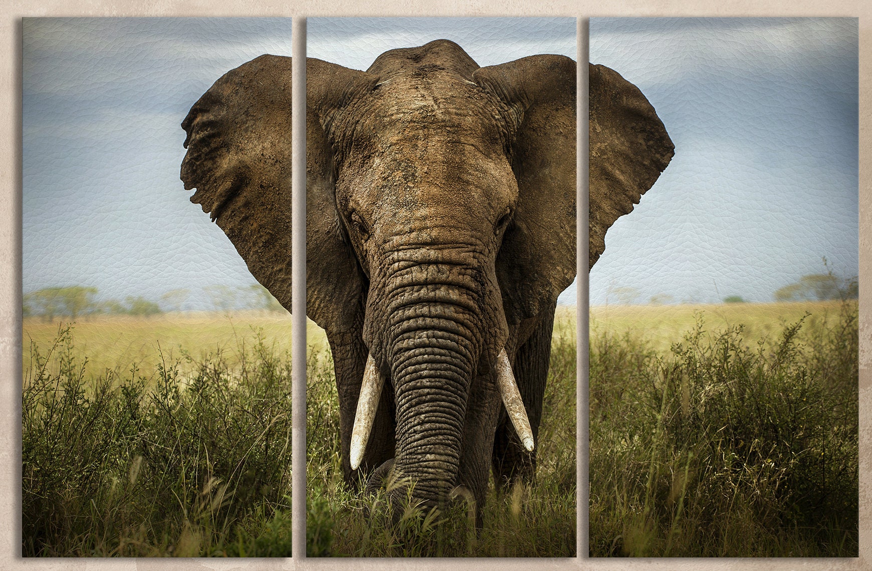 African Elephant Framed Canvas Leather Print