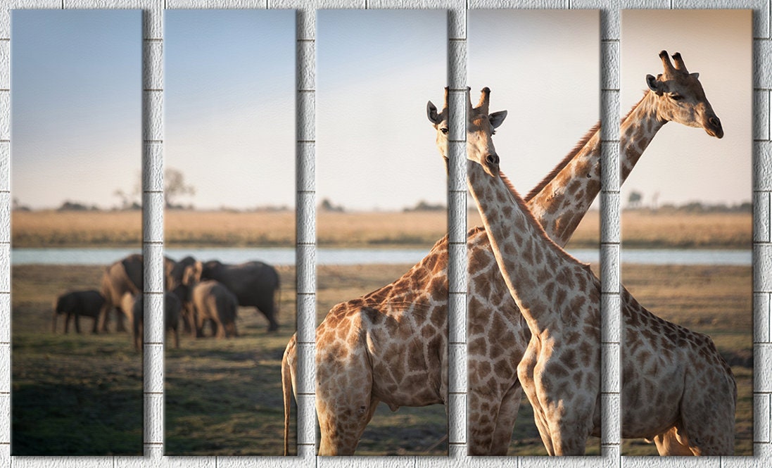 Giraffes Savanna Framed Canvas Leather Print