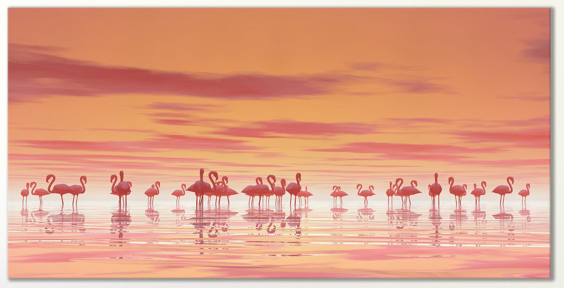 Pink Flamingos on Lake Framed Canvas Print