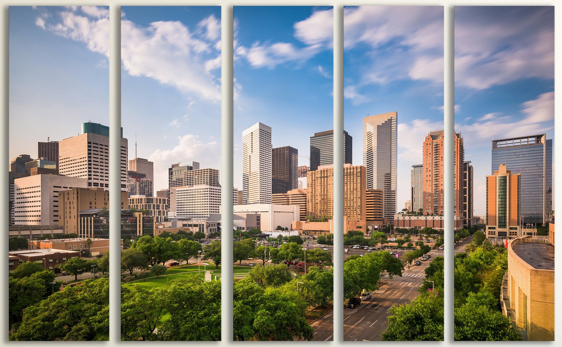 Houston, Texas Framed Canvas Leather Print