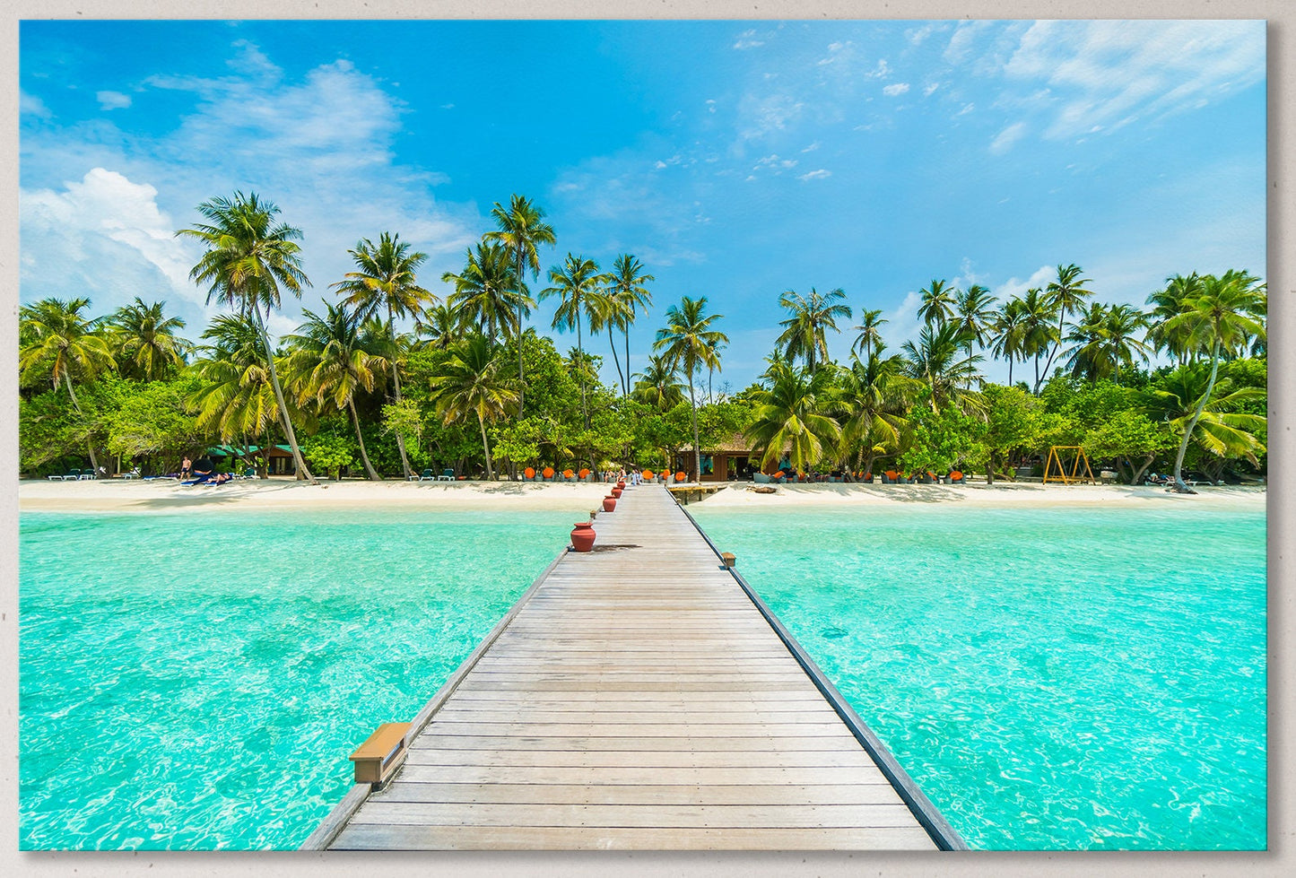 Maldives Island Framed Canvas Leather Print