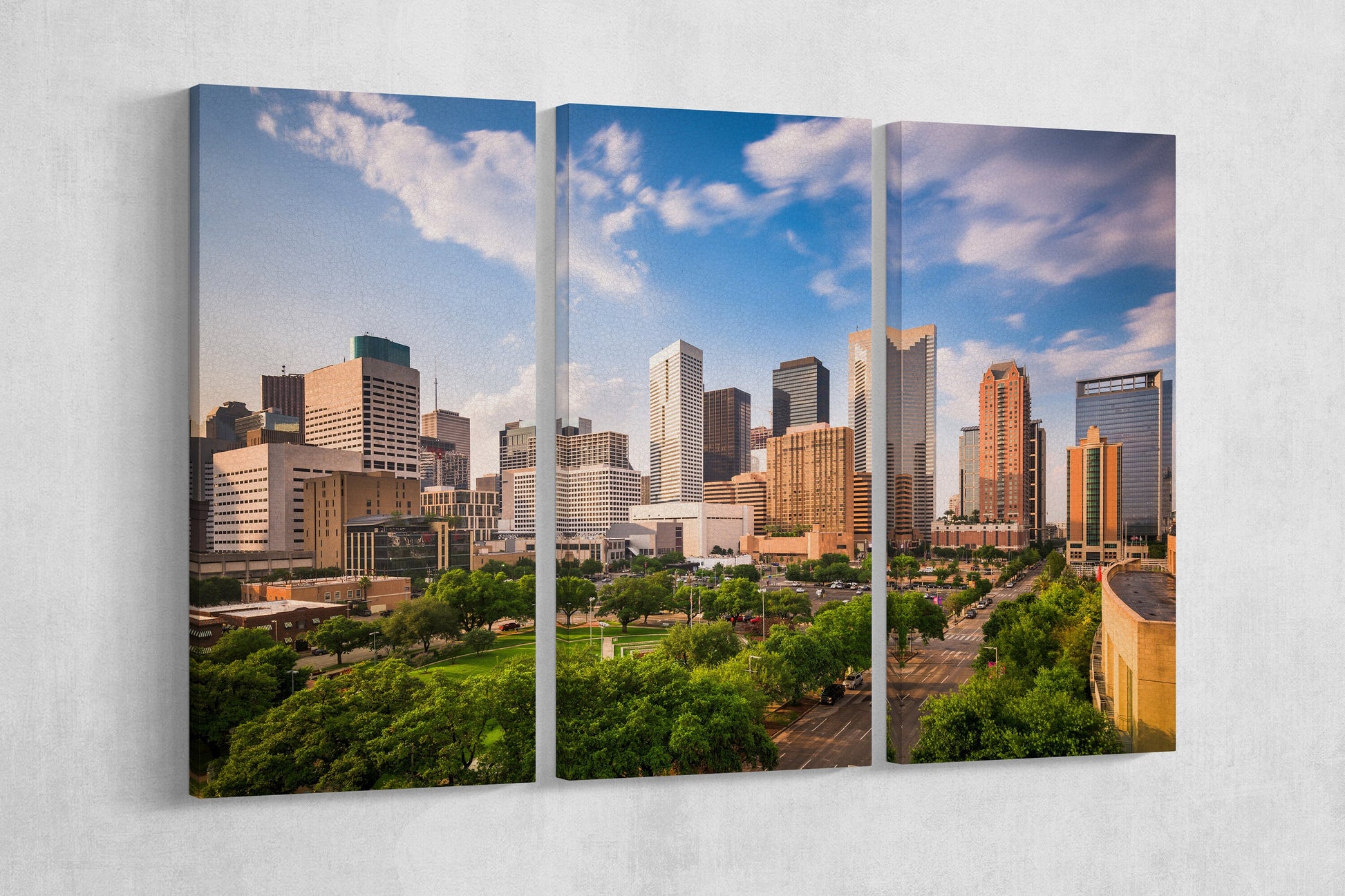 Houston, Texas Framed Canvas Leather Print