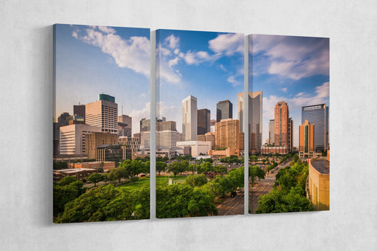 Houston, Texas Framed Canvas Leather Print