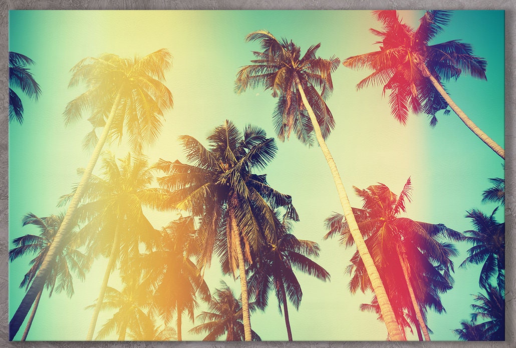 Vintage Palm Tree PETA Approved Faux Leather Canvas Wall Art